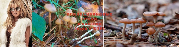 метадон Дубна