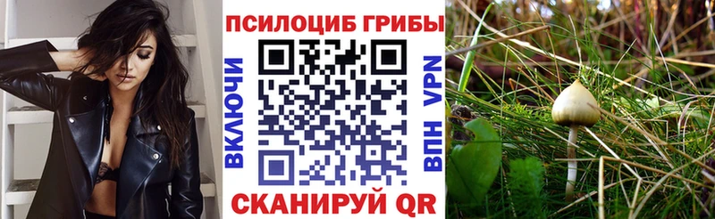 Псилоцибиновые грибы Cubensis  закладки  Палласовка 